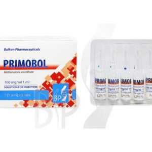 Primobol [Primobolan Depot] (Methenolone Enanthate)