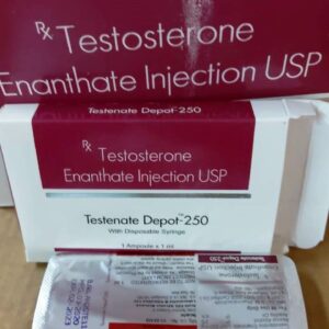 Testenate 250 (Testosterone Enanthate)