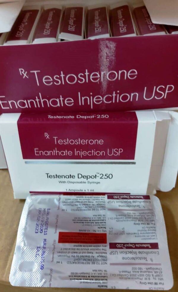 Testenate 250 (Testosterone Enanthate)